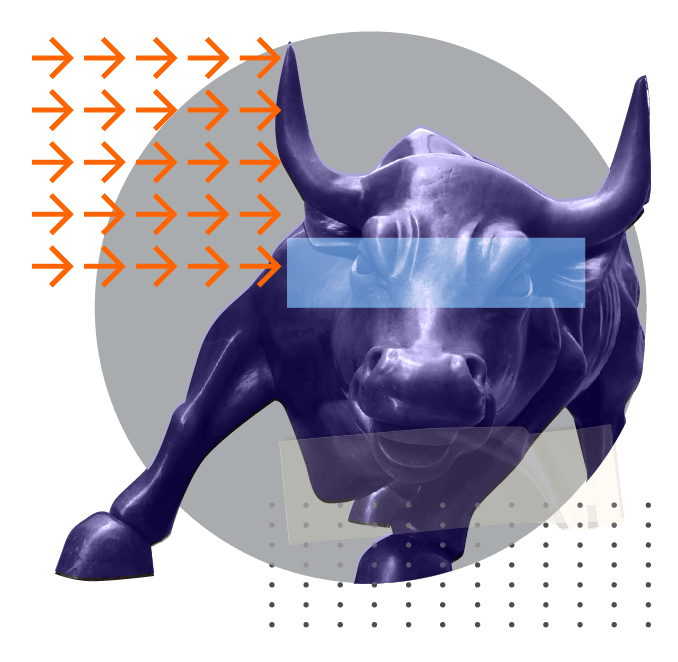 BULL_bull.png